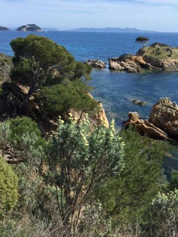 Ecrin De Verdure Sur Le Lavandou - Classement Tourisme 3 Etoiles Екстериор снимка